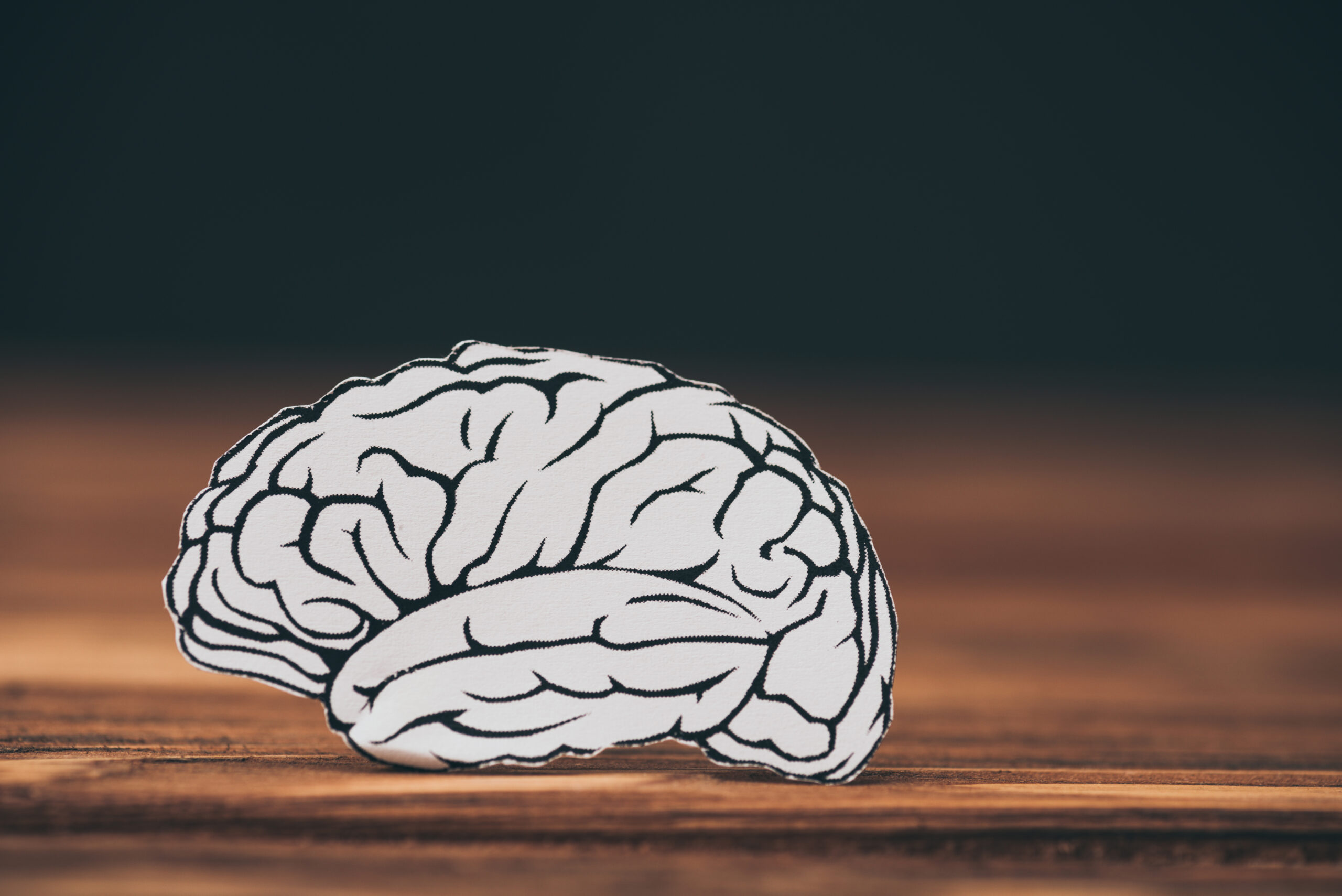 paper-brain-on-table